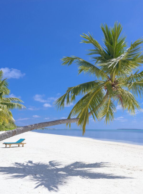 Cocu Bodu Hithi Resort Maldives 1