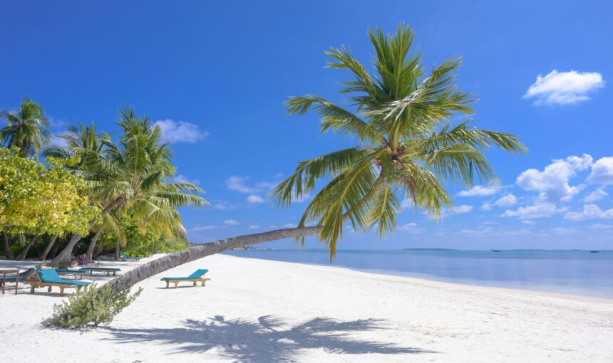 Cocu Bodu Hithi Resort Maldives 1