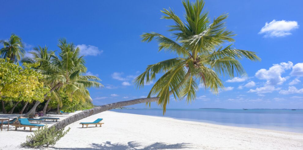 Cocu Bodu Hithi Resort Maldives 1