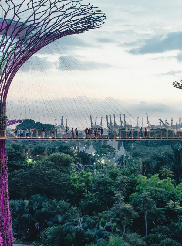 Eternal-Romance-in-Singapore4