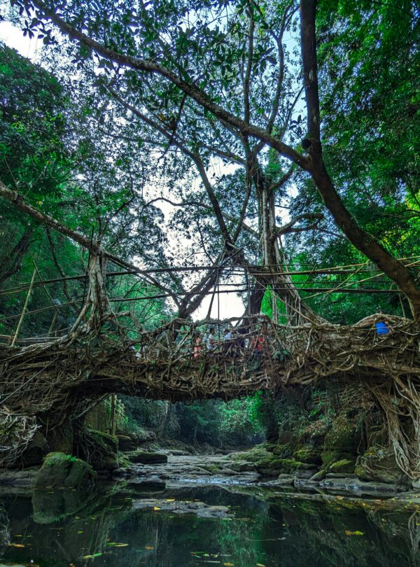 Exploring-Meghalayas-Wonders3