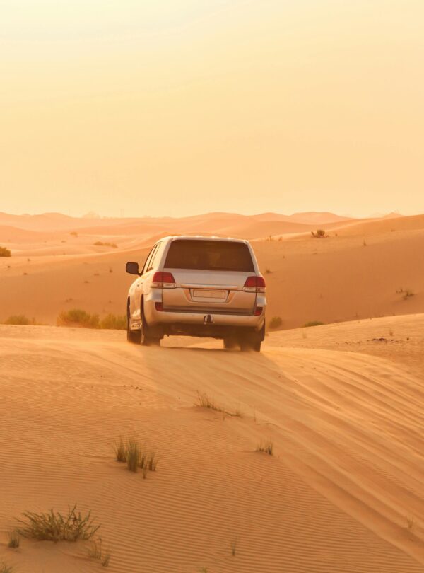 Exuberant-Dubai-and-Abu-Dhabi-Tour4