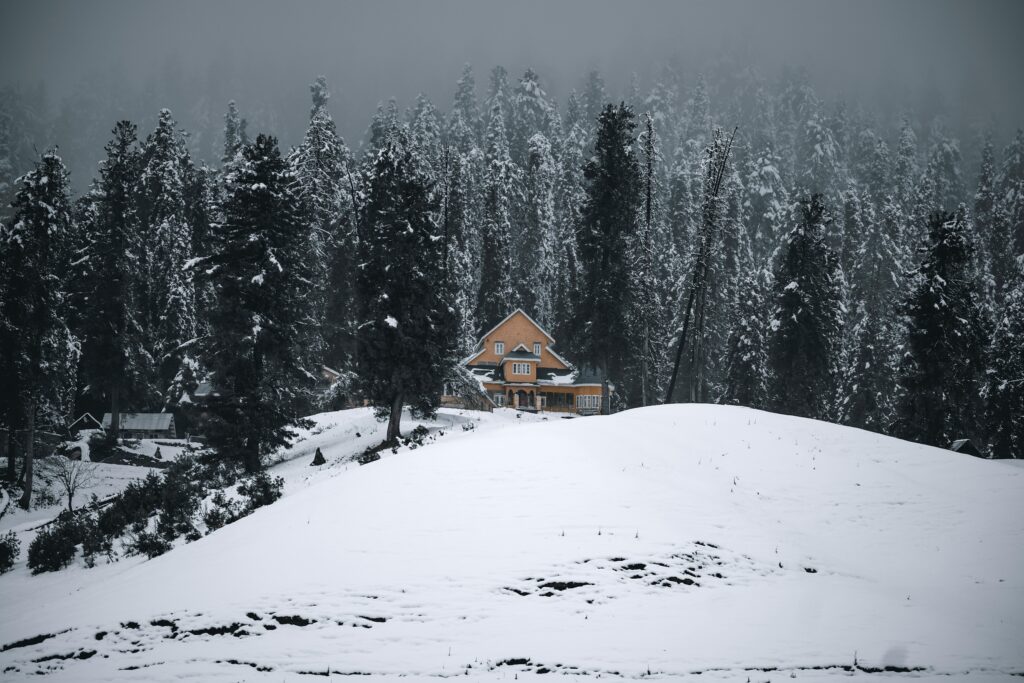 Kashmir-in-White1