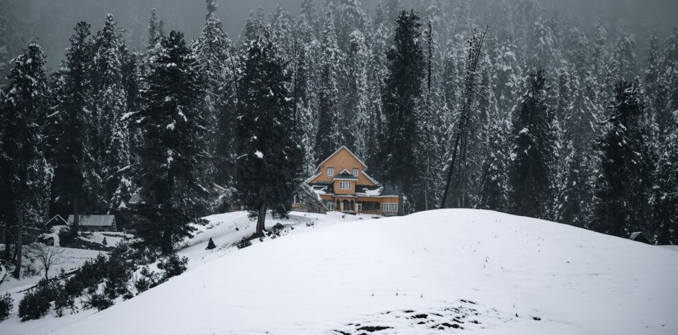 Kashmir-in-White1