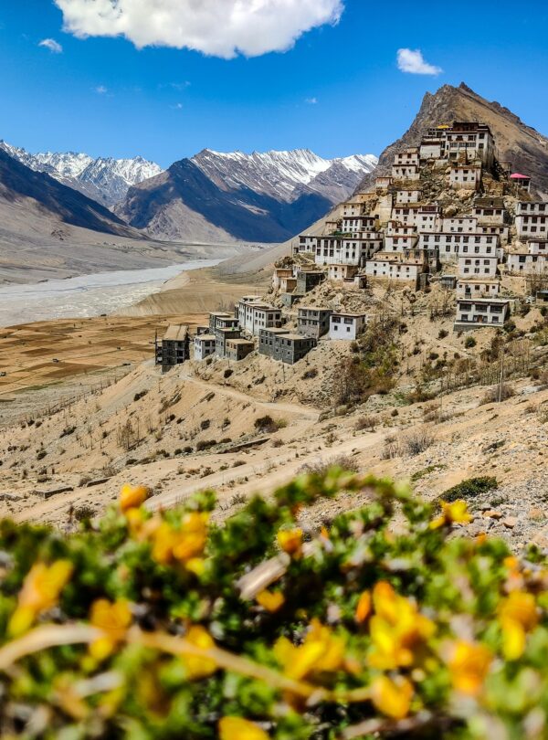 Spiti-Summer-Solace3
